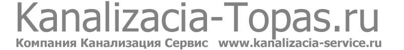 https://kanalizacia-topas.ru/images/logo.gif